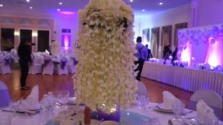 Quang & Tien Wedding Party Highlight 1/21/2017