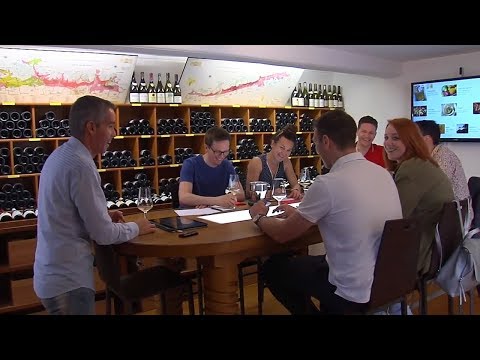 Cours oenologie à Beaune en Bourgogne - Sensation Vin