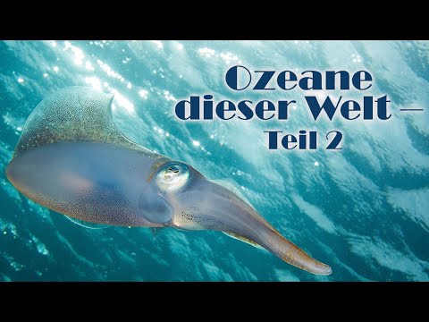 Ozeane dieser Welt – The best of Undersea Explorer [Teil 2] (Doku auf Deutsch in voller Länge)