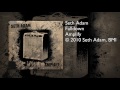 Seth Adam - Falldown
