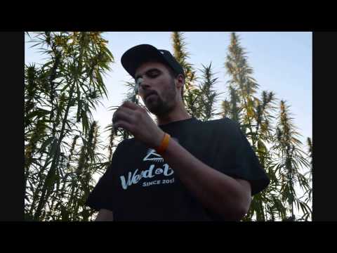 Kajman-Radio 5gFM (feat.Buszu,Dejan,Borixon,Sitek)