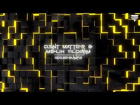 Dsnt Matter & Melih Yildirim - Goosebumps