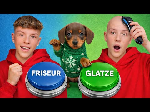 My dog ​​decides MY LIFE 24 hours a day.