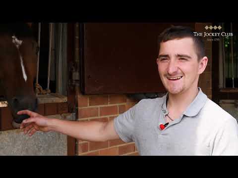 2019 Investec Coronation Cup Contender - Salouen