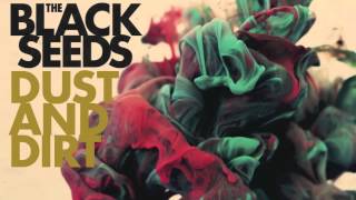 The Black Seeds - Dust and Dirt