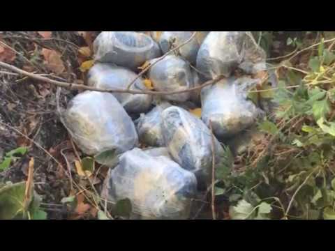 Ora News - Arrestohet e fejuara e bosit shqiptar të narkotrafikut i konsideruar “Eskobar”