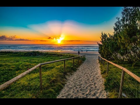 National Broodmare Sale - 2020 Entries