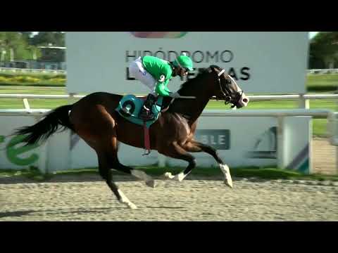 220311 c06 - TONIBILLY (BRZ) - HIPODROMO LAS PIEDRAS