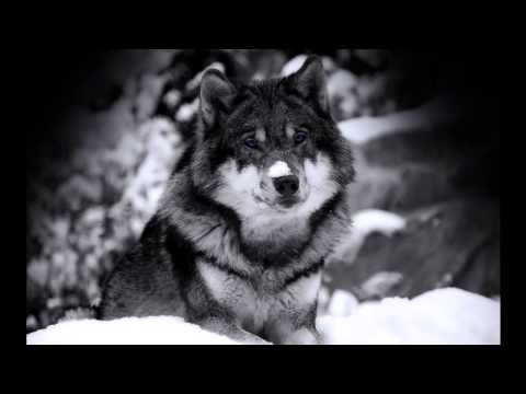 Mihai Popoviciu & David Delgado – Ajiaco [Original Mix]