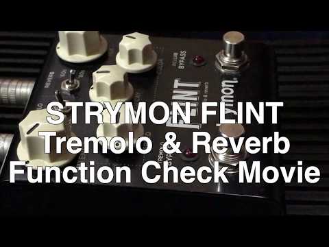 Strymon Flint Tremolo  Reverb Function check video