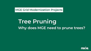 MGE's Tree Pruning Process