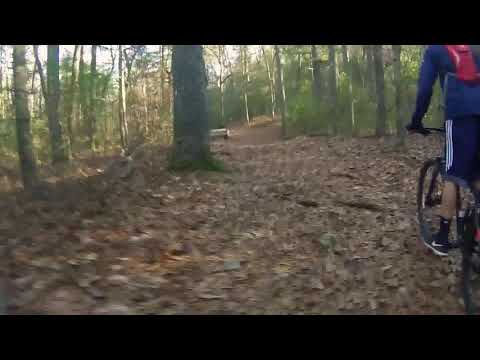 Saturday Afternoon at Noanet Woodlands