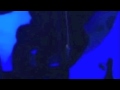 Video Porno De Gloria Trevi Y Armando En Alberca De Acapulco 77