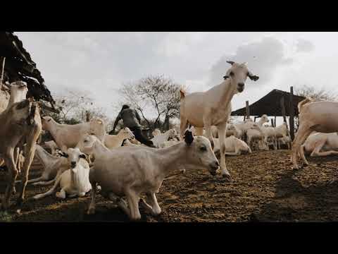 History of the Taita Taveta Ranches
