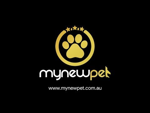 Petclassifieds
