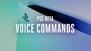 [閒聊] PS5聲控操作新功能示範影片