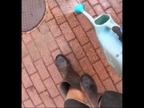Gutter And Patio Clean video.