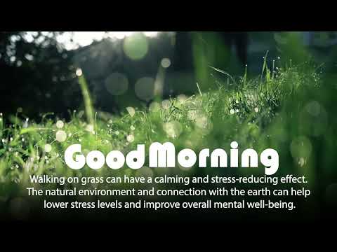 Good Morning | Shubh Prabhat | Happy Day | Good Morning Wishes | Morning | Photolele.com