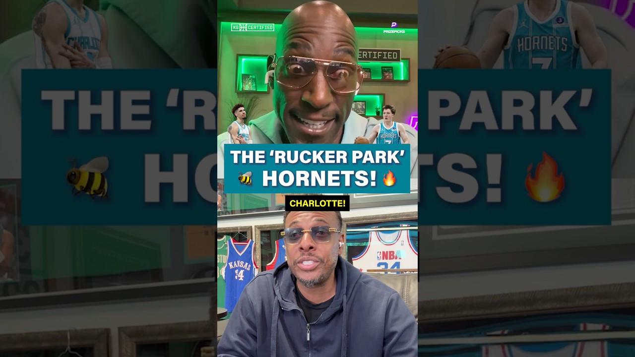 The Hornets are playing with house money 🎰 🤑