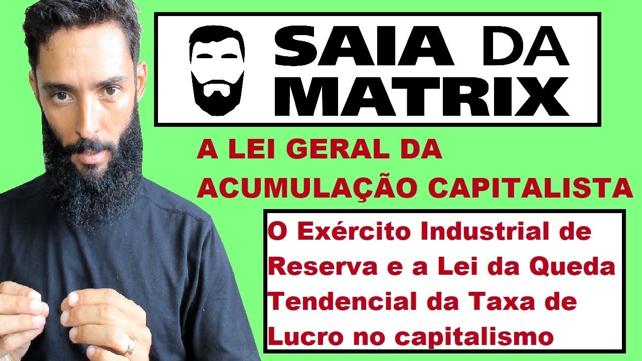 Lei da Acumulação Capitalista: O exército de reserva e a Lei da queda da taxa de lucro (#Matrix 126)