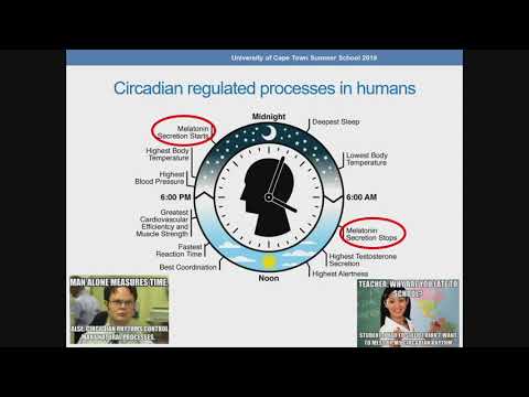 Circadian Rhythms 1