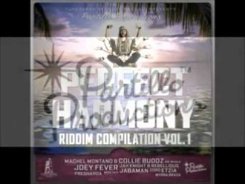 Jabaman - Can't Believe (Perfect Harmony Riddim) 2011