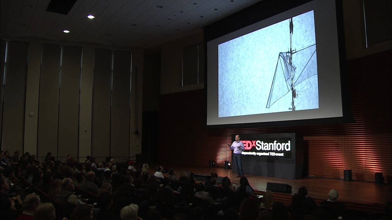 Drones of a Feather | David Lentink | TEDxStanford