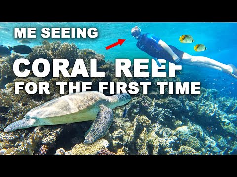 German aquarium boy seeing CORAL REEF for the first time!!