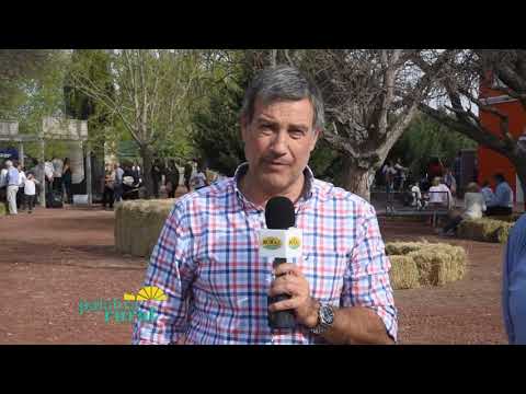 BLOQUE 2 CABAÑA CURACO