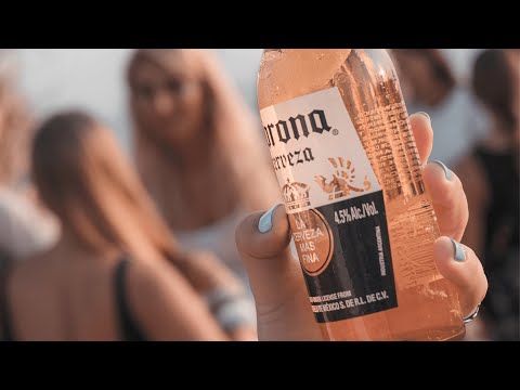 Cleanup - Corona x Parley (tigre)