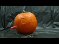 Stop Motion Pumpkin Carving