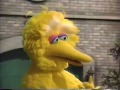 Sesame Street Places In Our Neighborhood