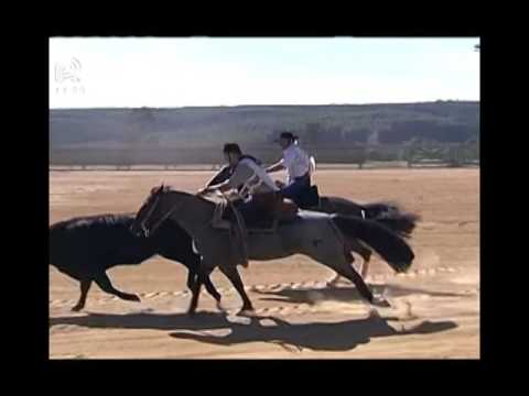 Aberta de Itu – 4° lugar fêmeas – Honoraria da Reservada