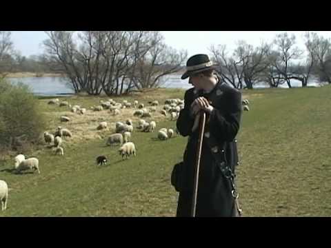 Schäfer an der Oder bei Bleyen