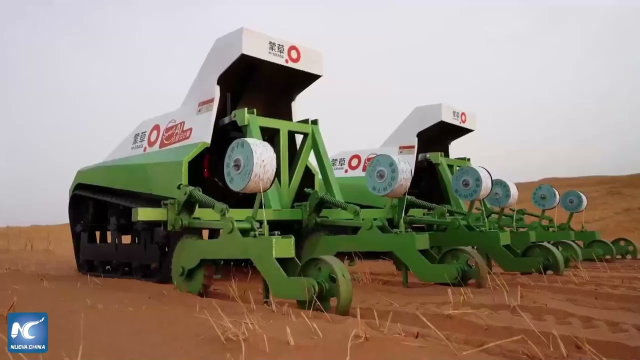 Mongolia Interior rehabilita superficie desértica 2,7 veces el tamaño de Beijing en cinco años