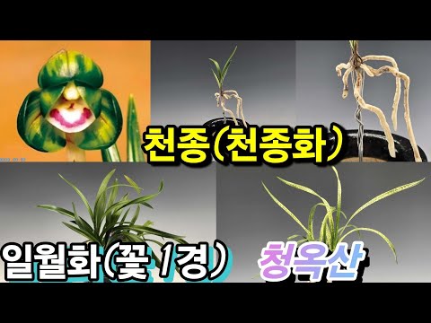 유튜브 썸네일