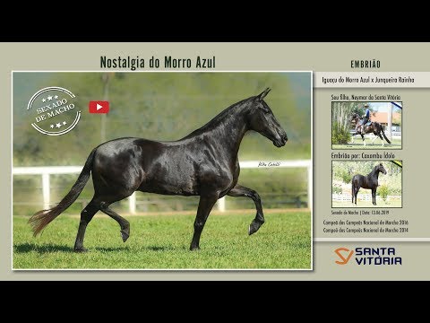 Nostalgia do Morro Azul