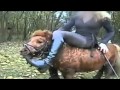 Politie houdt twee ponypletters aan