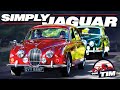 The Best Jaguar Car Show I Ve Ever Seen Simply Jaguar 2024