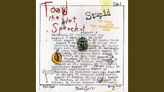 Something's Always Wrong (Live at Sony Studios, NYC, NY - May 1995)