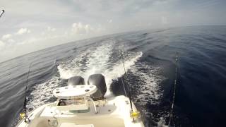 Another NOAA 3-5 foot forecast