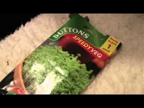How To: Grow Cress