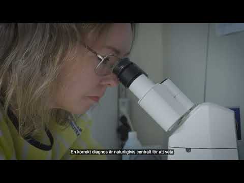 Helena Carén, professora de histologia