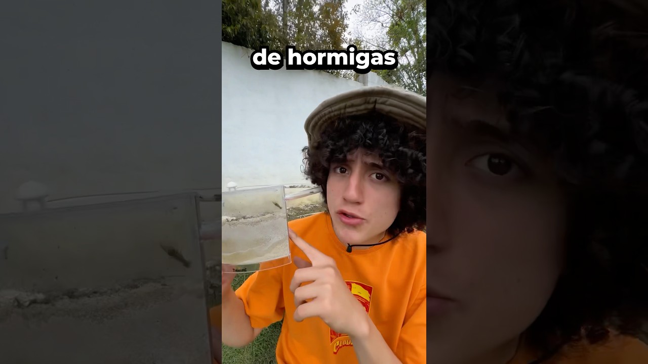 Full video edit & production