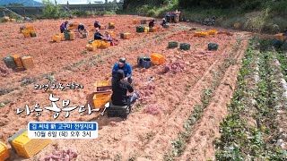 [나는농부다 217회 예고] 김 씨네  新 고구마 전성시대