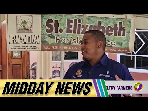Business Booming St. Ann Post Hurricane Melissa | Midday News