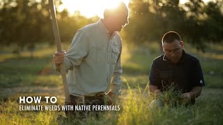 How to Eliminate Weeds with Native Perennials