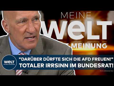 DEUTSCHLAND: "Darüber dürfte sich die AfD freuen!" Totaler Irrsinn im Bundesrat!