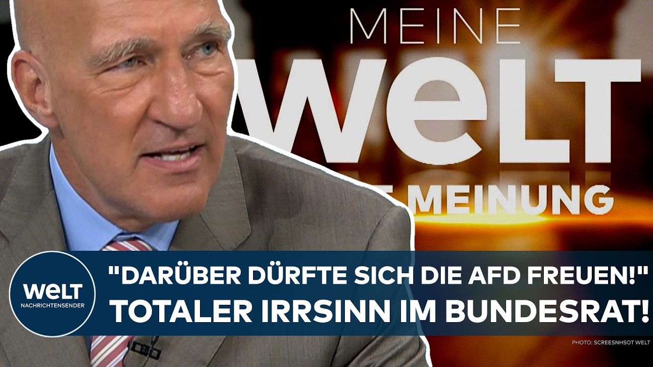 DEUTSCHLAND: "Darüber dürfte sich die AfD freuen!" Totaler Irrsinn im Bundesrat!