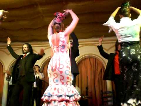 Flamenco - El Palacio Andaluz 10